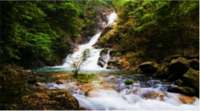 九龍江國(guó)家森林公園門票+瑤畬民俗風(fēng)景館門票